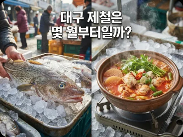 대구 제철은 몇 월부터일까?